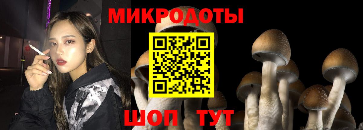 Юрга  Галлюциногенные грибы MAGIC MUSHROOMS  Вход с VPN 